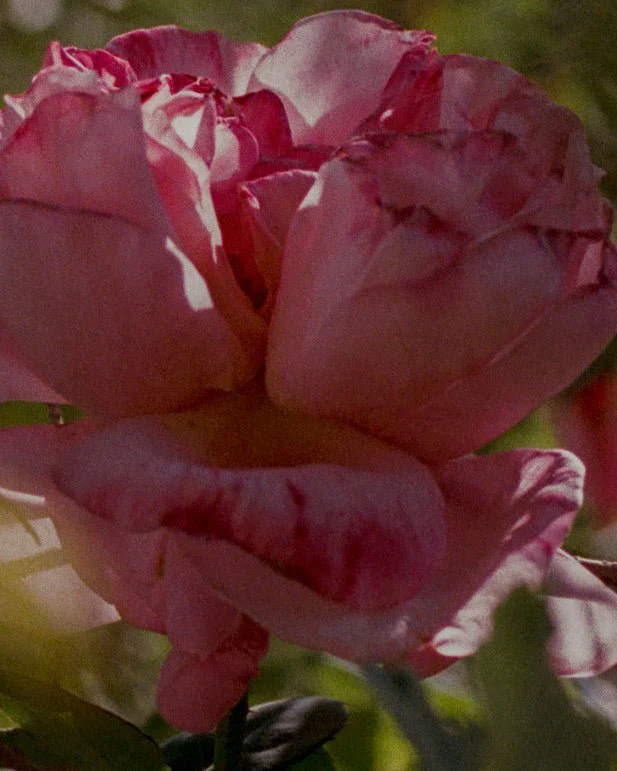 N˚07 ROSEWOOD CANDLE - Image 6